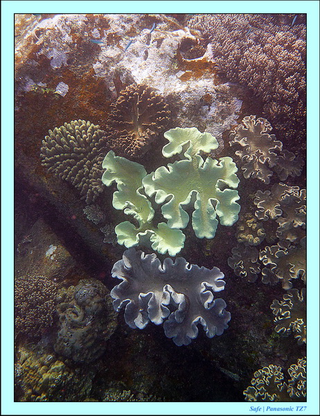 2012 - 07 - Apoh Island 48